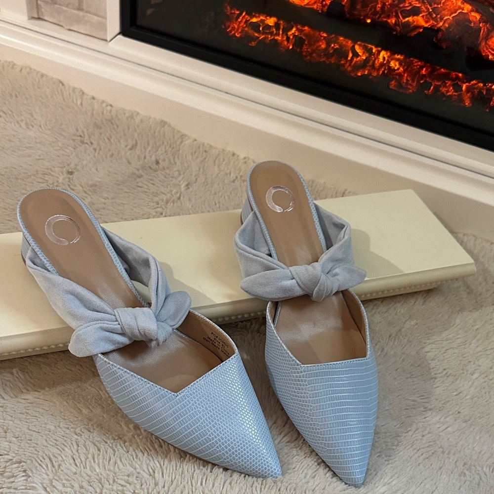 Elegant Blue Women's Mules